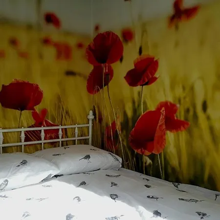 Chalet Vinkenhof 6-8 Personen